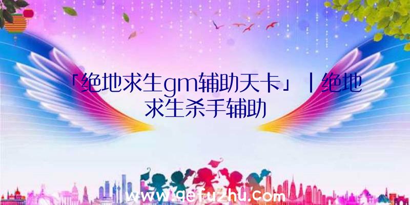 「绝地求生gm辅助天卡」|绝地求生杀手辅助